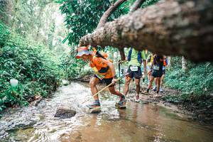 BIB: 
                            <button type="button" onclick="openModal(25372552)" class="btn btn-primary btn-sm float-right btn-popup" data-toggle="modal" data-target=".modal-high-quality">
                        <i class="fas fa-shopping-cart"></i> Add to Cart
                    </button>
                                            <button type="button" onclick="isThisMe(25372552, true)" class="btn btn-success btn-sm float-right btn-popup btn-isme hidden" data-toggle="tooltip" data-placement="bottom" title="นี่คือรูปของคุณใช่ไหม คลิกที่นี่เพื่อเอาเข้าอัลบั้ม">
                        <i class="fas fa-plus"></i> Add to album
                    </button>
                    <button type="button" onclick="isThisMe(25372552, false)" class="btn btn-warning btn-sm float-right btn-popup btn-isnotme hidden">
                        <i class="fas fa-ban"></i> Remove from album
                    </button>